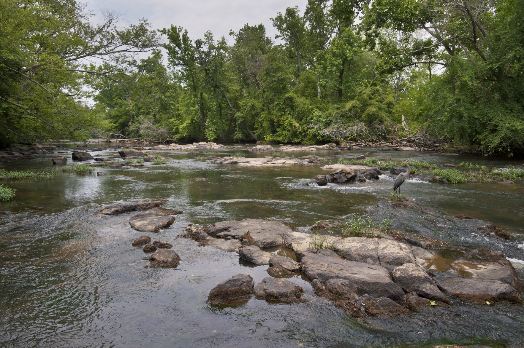 Landsford Canal State Park